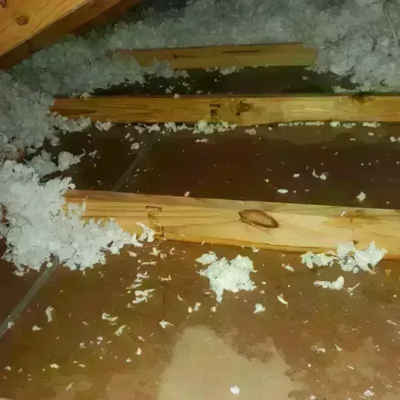 Attic Water Damage in DuPont, WA