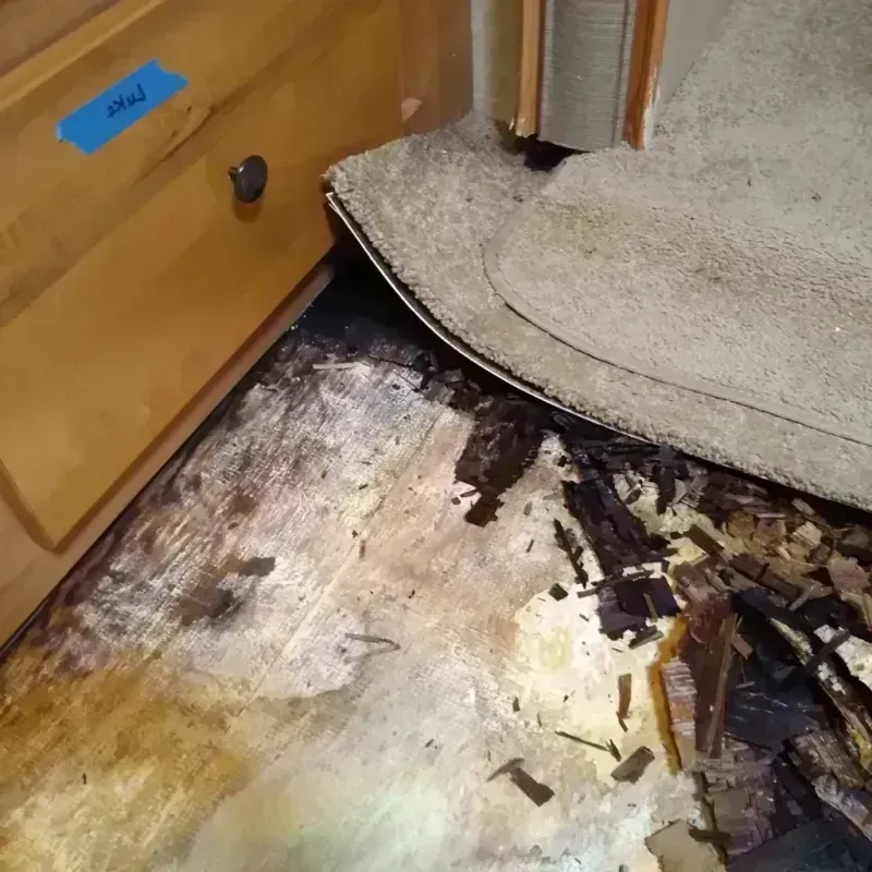 Wood Floor Water Damage in DuPont, WA